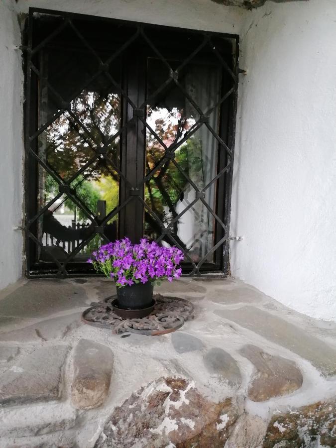 Guest House Olsakovsky Český Krumlov Exterior foto